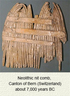 prehistoric comb