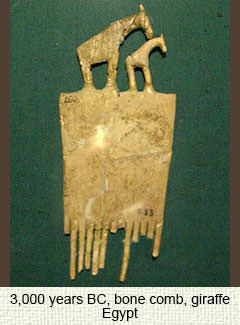 Egyptian bone comb